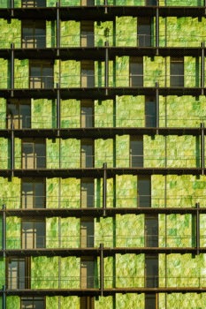 Tour de la biodiversité à Paris. Architecte : Maison Édouard François.