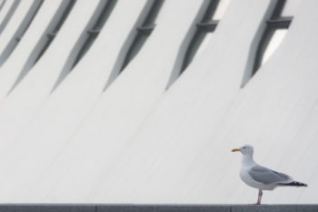 Le Volcan. Architecte : Oscar Niemeyer. Le Havre