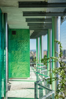 Edouard François - Tour de la Biodiversité M6B2 à Paris - 58