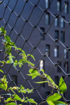 Edouard François - Tour de la Biodiversité M6B2 à Paris - 59