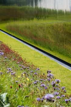 Antonini + Darmon - CTLES - 09