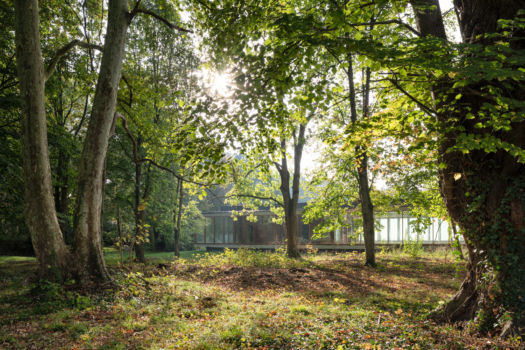 Yoonseux | Cantine | Lésigny Cantine vitrée entre les arbres
