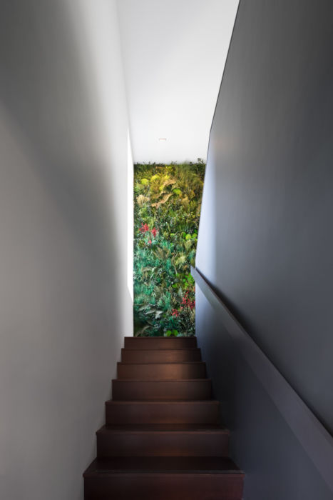 Escalier et mur végétal
