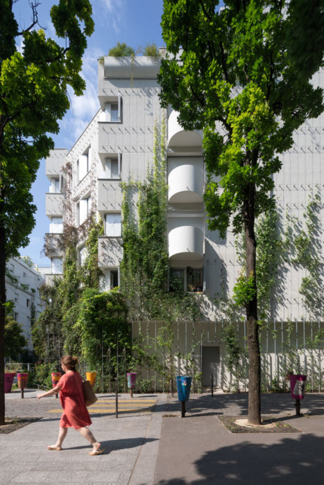 Lierre escaladant la façade