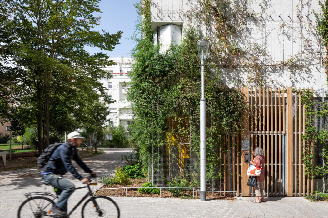 Porte d'entrée en bois et nature envahissant le bâtiment